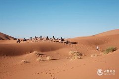 屬龍2024年生孩子好嗎？幾月出生的屬龍人最有福氣？幾月出生的屬龍人最有福氣