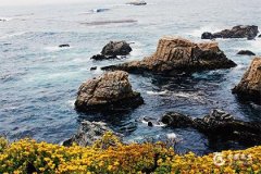 2025年五行屬性：木命或火命解析