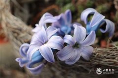 2022年新歷12月最好的日子是哪天？