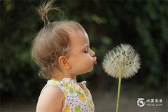 五行为金的汉字大全