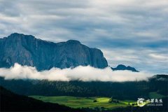 2005年屬雞三大劫難，2005年屬雞的是什麼命？