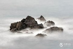 双鱼座最有钱的五大生肖，你知道吗？