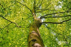 补火最旺的10个字 五行属火最带财的字