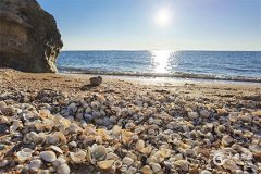 子時是幾點到幾點？子時出生的男