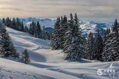 屬蛇人床頭朝哪最好