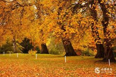 1980年属猴和1975属兔的婚姻真的是天生的冤家吗？