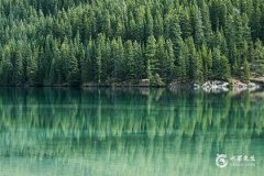 2025本命年适合什么颜色？36岁属蛇大劫是什么意思