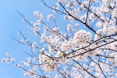 为什么处女座男生可怕