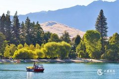 2025年屬牛的財運和運氣如何？2025年屬牛人的財神方位