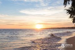 2008年屬鼠在2025年學業如何？2008年屬鼠2025年佩戴什麼好