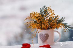 黄道吉日是怎么推算出来的，看日子全部口诀