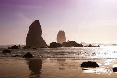 2025屬雞要小心一個人;屬鼠、屬兔、屬狗和屬雞