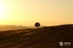 舅舅本命年送什么礼物好