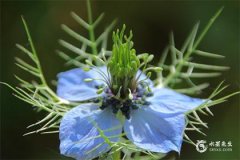 1984年屬鼠今年財運怎麼樣？1984年屬鼠2025年感情與婚姻