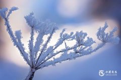 2022年12月運氣好和運氣不好的生肖榜單