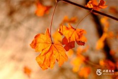 与水瓶女交往的大忌，水瓶女和什么星座男最配？