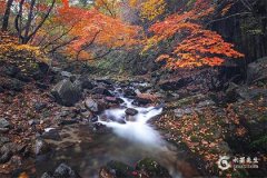 今年屬蛇的犯太歲嗎2025？2025年屬蛇犯太歲怎麼化解？