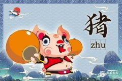 属猪人一生最忌讳什么颜色，什么颜色最旺？