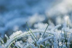 1975年屬兔今年財運如何？1975年屬兔2025年財運方位