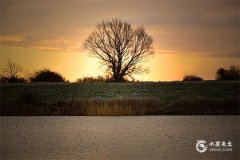 相差3岁最忌讳三个生肖，十二生肖相冲相克表