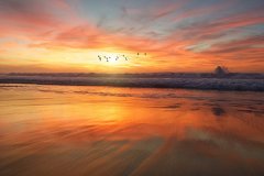 1987年屬兔幸運數字和顏色，87年屬兔女佩戴什麼運氣最好？