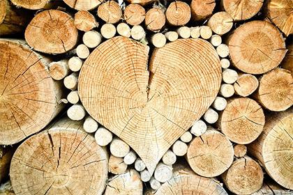 五行缺金火女孩起名,用哪些字比较好