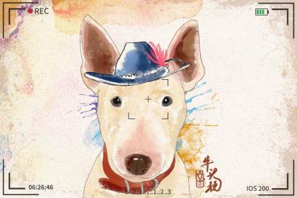 2018年狗年男宝宝几月出生