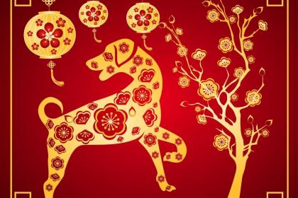 生肖豬的最佳婚配是怎樣的