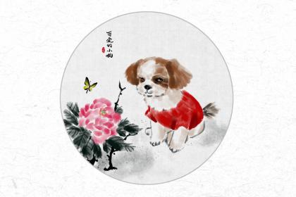 36岁本命年为什么会有灾？