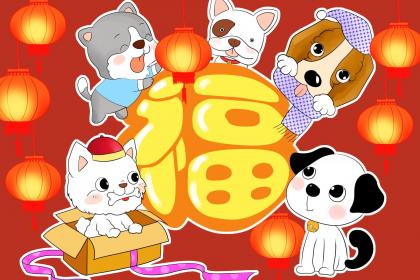 55岁生肖龙的人2018年整体