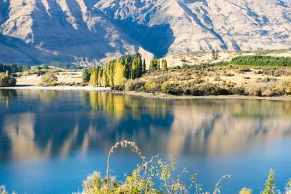 五行缺木八字喜火起名