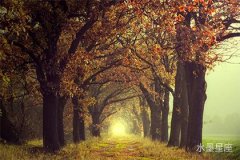 金星在第三宫逆行，你的婚姻是否命中注定