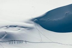 摩羯座的桃花怎么样