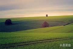 摩羯座结婚后还和前任联系
