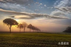 金星在第二宫逆行是桃花运的持续好兆，你了解吗