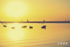 射手座桃花运何时最旺盛