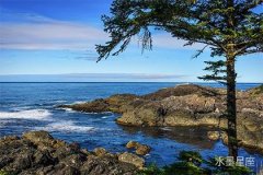 土星在第十宫逆行，亲情重构的契机如何应对