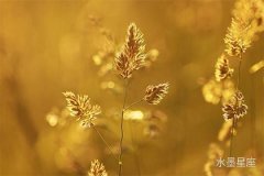 木星在第九宫逆行，家庭亲情会迎来怎样的转变