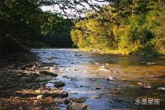 揭秘你的桃花运，木星在第七宫逆行意味着什么