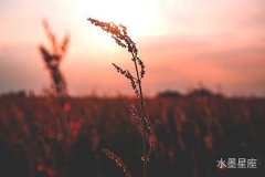 天蝎座男孩子的性格：亲情、家庭方面的表现