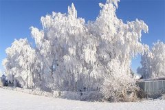 水星在第十二宫逆行代表家庭中的沟通与和谐之道