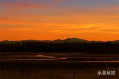 火星在第五宫逆行，爱情将离奇际遇