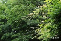 爱情大揭秘，水星在第三宫逆行怎么办，提前知晓幸福破灭的迹象