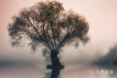 天蝎座的桃花怎么样