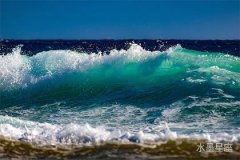 土星在第十宫逆行，桃花运是否扭转